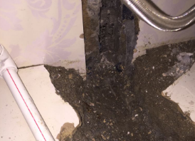 抚宁卫生间测漏水哪家好