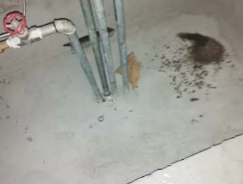 抚宁卫生间测漏水价格明细