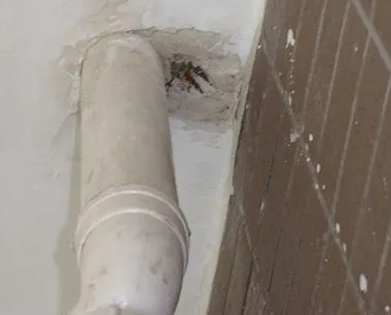 抚宁漏水检测哪家好